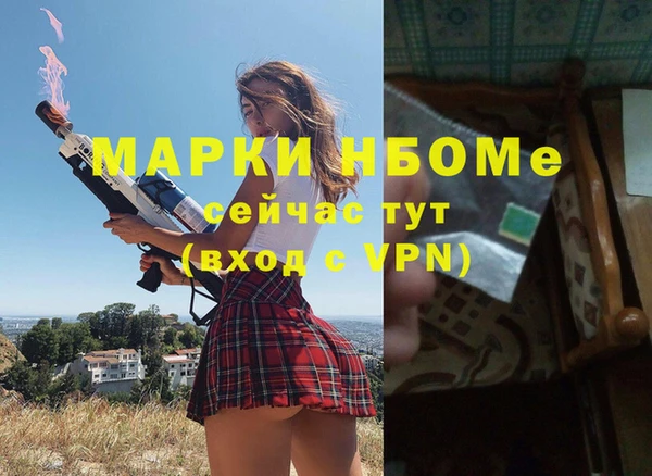 МДПВ Алзамай