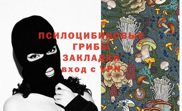 тгк Алексеевка