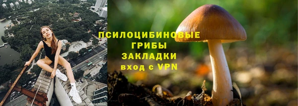 МДПВ Алзамай