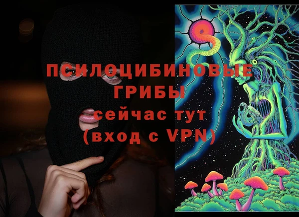 МДПВ Алзамай