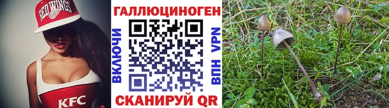 Псилоцибиновые грибы MAGIC MUSHROOMS  Канаш 