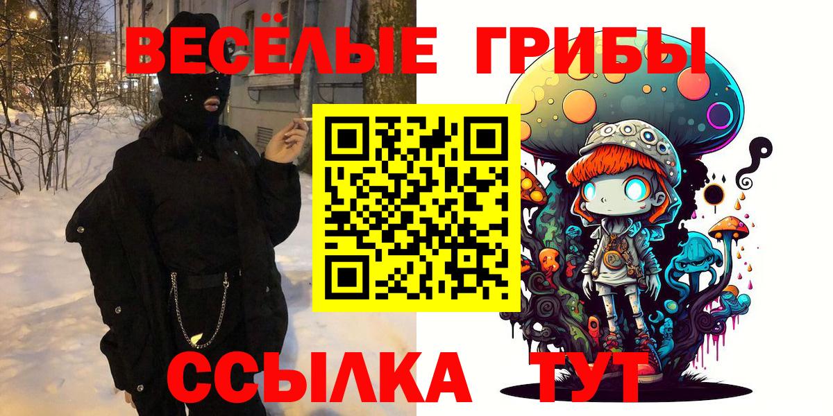 Псилоцибиновые грибы Psilocybine cubensis  цена наркотик  Канаш  Вход с VPN 